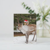 愛らしいリスのサンタとトナカイのクリスマス ポストカード (スタンド正面)