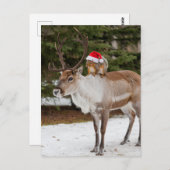 愛らしいリスのサンタとトナカイのクリスマス ポストカード (正面/裏面)