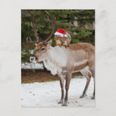 愛らしいリスのサンタとトナカイのクリスマス ポストカード (正面)