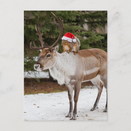 愛らしいリスのサンタとトナカイのクリスマス ポストカード (正面)