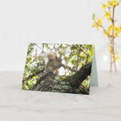 愛らしいリスの緑のカード カード (黄色い花)