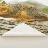 愛らしいリス シェルパブランケット (3/4)