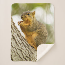 愛らしいリス シェルパブランケット