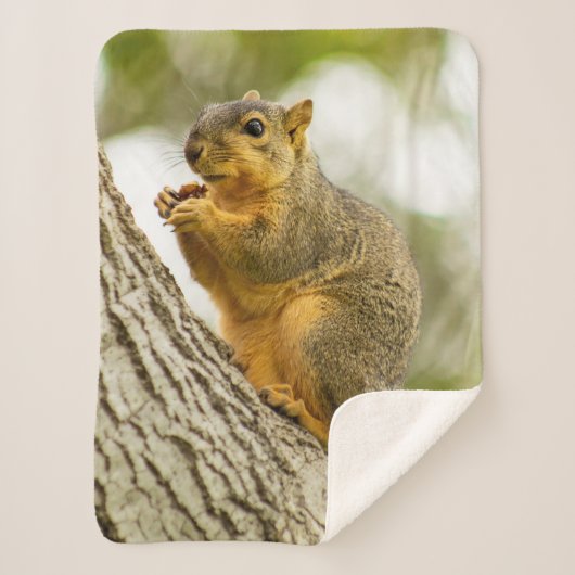 愛らしいリス シェルパブランケット (正面)