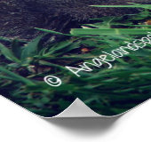 愛らしいリス ポスター (角)