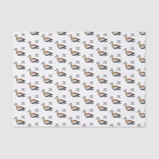 愛らしいリングティール（緑がかった色）ダックスイミング 薄葉紙 (正面)