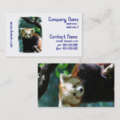 愛らしいレッサーパンダの名刺 名刺 (正面/裏面)