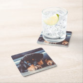 愛らしいロットワイラー子犬の休息 スクエアペーパーコースター (インサイチュ)