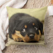 愛らしいロットワイラー子犬 クッション (ブランケット)