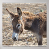 愛らしいロバ ポスター (正面)