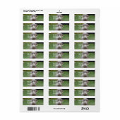 愛らしいワイマラン ラベル (フルシート)