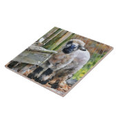 愛らしいヴァレクロスラム タイル (側面)