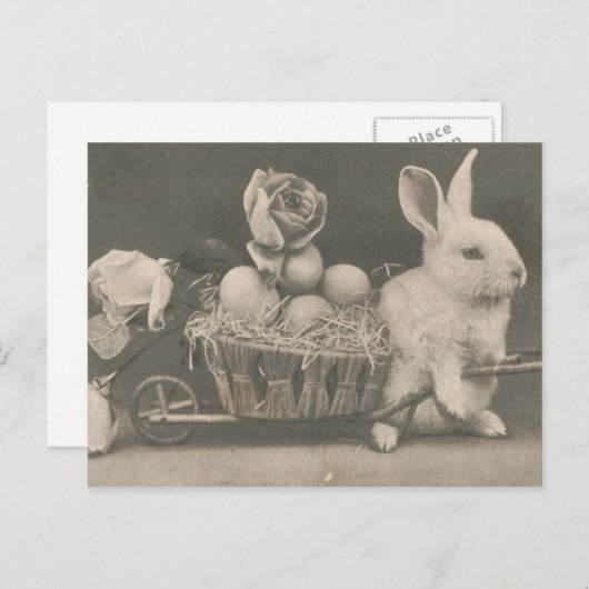 愛らしいヴィンテージイースターウサギ シーズンポストカード (正面/裏面)