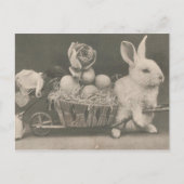 愛らしいヴィンテージイースターウサギ シーズンポストカード (正面)