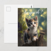 愛らしい三毛猫の子が心配そう ポストカード (正面/裏面)