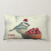 愛らしい休日の《鳥》アメリカゴガラ