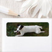 愛らしい元気なジャック・ラッセル ラベル (インサイチュ)