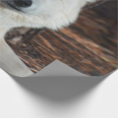 愛らしい北極オオカミ ラッピングペーパー (角)