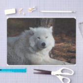 愛らしい北極オオカミ 薄葉紙 (クラフト)