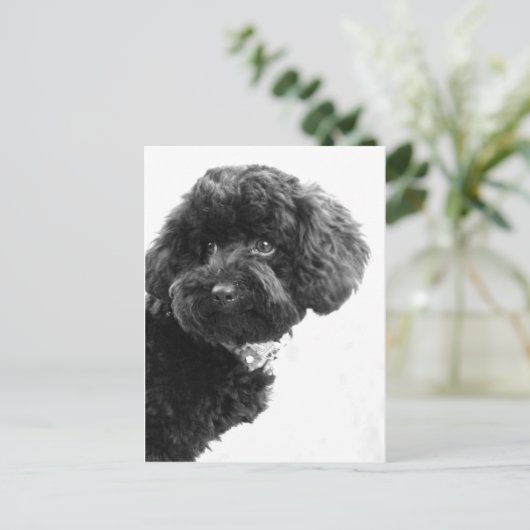 愛らしい友人 ポストカード (スタンド正面)