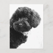 愛らしい友人 ポストカード (正面)