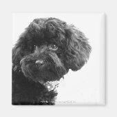 愛らしい友人 マグネット (正面)