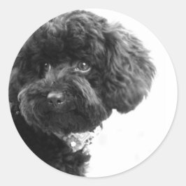 愛らしい友人 ラウンドシール