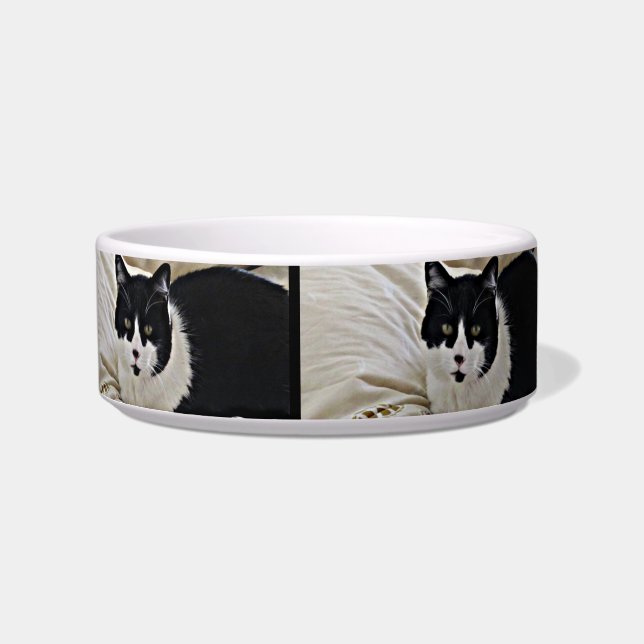 愛らしい口ひげの黒猫のペットフードボール ボウル (正面)