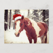 愛らしい可愛いクリスマスペイントホース ポストカード (正面)