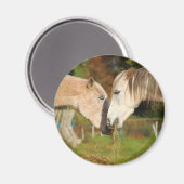 愛らしい可愛い食べ馬の干しマグネット マグネット (正面/裏面)