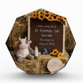 愛らしい国のスタイル妊娠の発表 フォトブロック (正面)