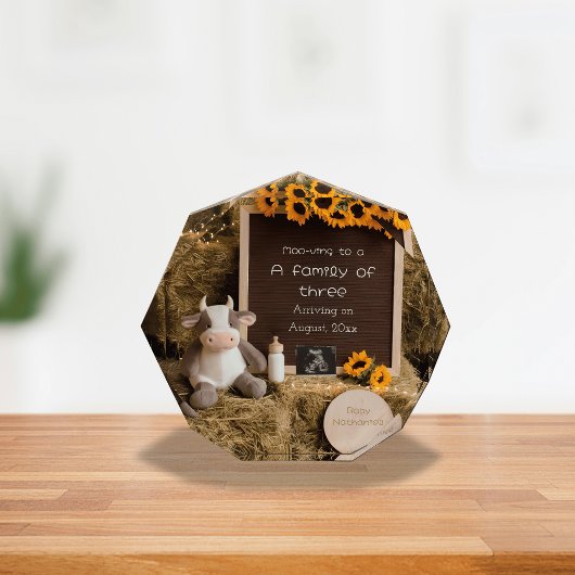 愛らしい国のスタイル妊娠の発表 フォトブロック