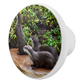 愛らしい娘が三人いる セラミックノブ (右)