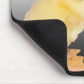 愛らしい子ガモの写真 マウスパッド (コーナー)