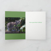 愛らしい子ネコのバースデー・カード カード (内部)