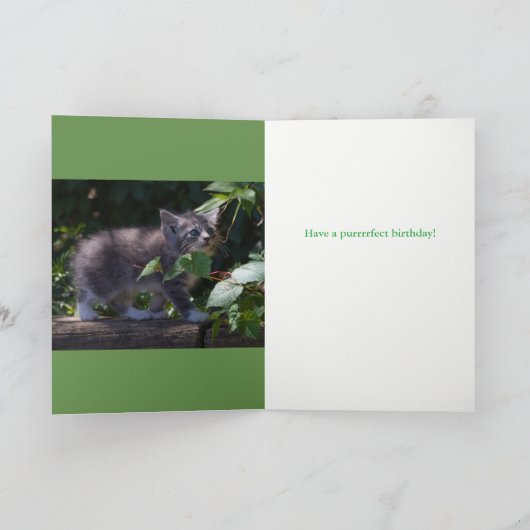 愛らしい子ネコのバースデー・カード カード (内部)