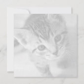 愛らしい子ネコの正方形の平らなサンキューカード サンキューカード (裏面)