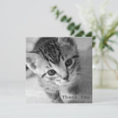 愛らしい子ネコの正方形の平らなサンキューカード サンキューカード (スタンド正面)