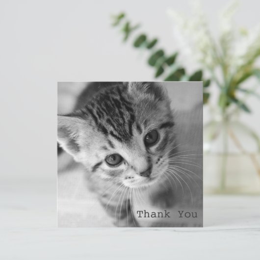 愛らしい子ネコの正方形の平らなサンキューカード サンキューカード (スタンド正面)