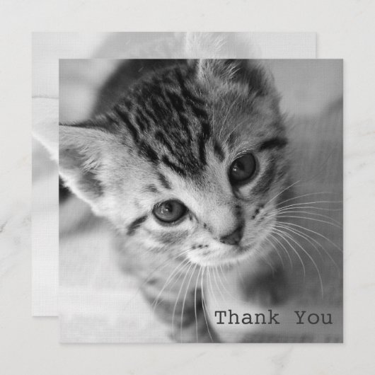 愛らしい子ネコの正方形の平らなサンキューカード サンキューカード (正面/裏面)