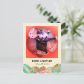 愛らしい子ネコ猫のイースター挨拶のカスタムの写真 シーズンポストカード (スタンド正面)