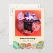 愛らしい子ネコ猫のイースター挨拶のカスタムの写真 シーズンポストカード (正面/裏面)