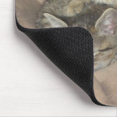 愛らしい子ネコ マウスパッド (コーナー)