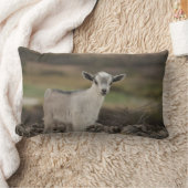 愛らしい子供のヤギ ランバークッション (ブランケット)