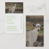 愛らしい子供のヤギ 名刺 (正面/裏面)