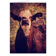 愛らしい子牛の全ての大失敗