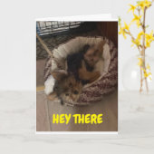 愛らしい子犬が目覚めて「ハッピーバースデー」と言う カード (黄色い花)