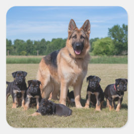 愛らしい子犬とカスタマイズ可能なドイツの羊飼い スクエアシール