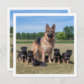 愛らしい子犬とカスタマイズ可能なドイツの羊飼い 招待状 (正面/裏面)