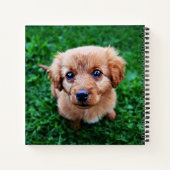 愛らしい子犬の写真 ノートブック (裏面)